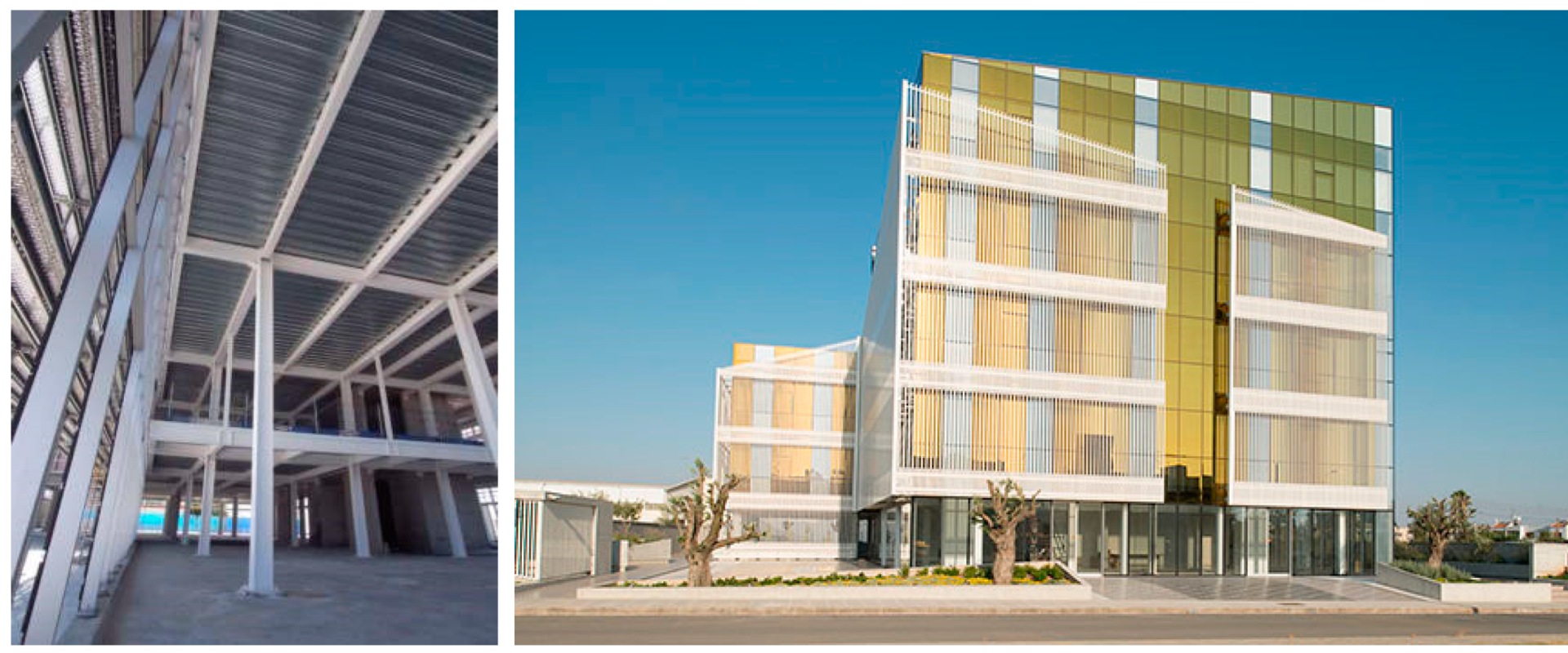 Mitigation Strategies for Architecture and Construction Management